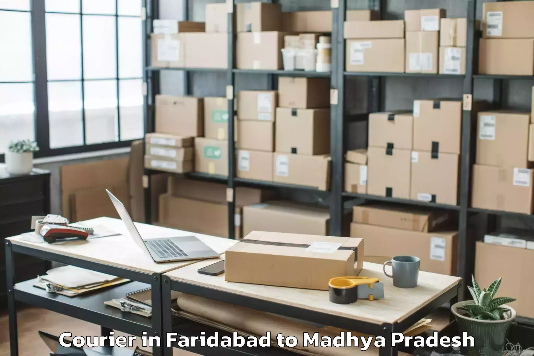 Top Faridabad to Dhamnod Courier Available